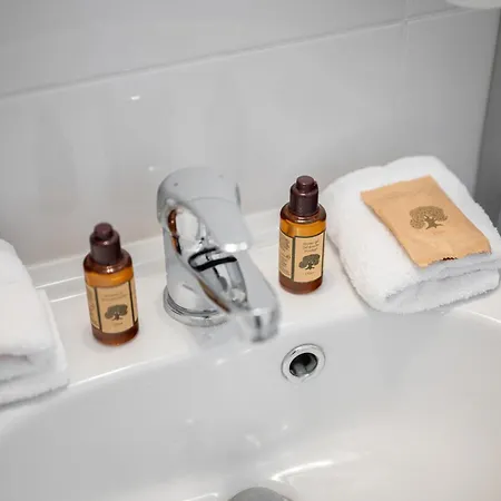 Le Coq Nido - Wi-fi - New *