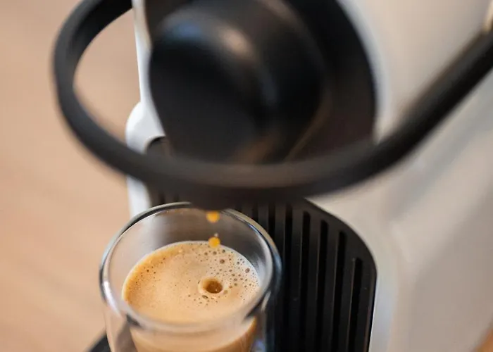 Le Coq Nido - Wi-fi - New *